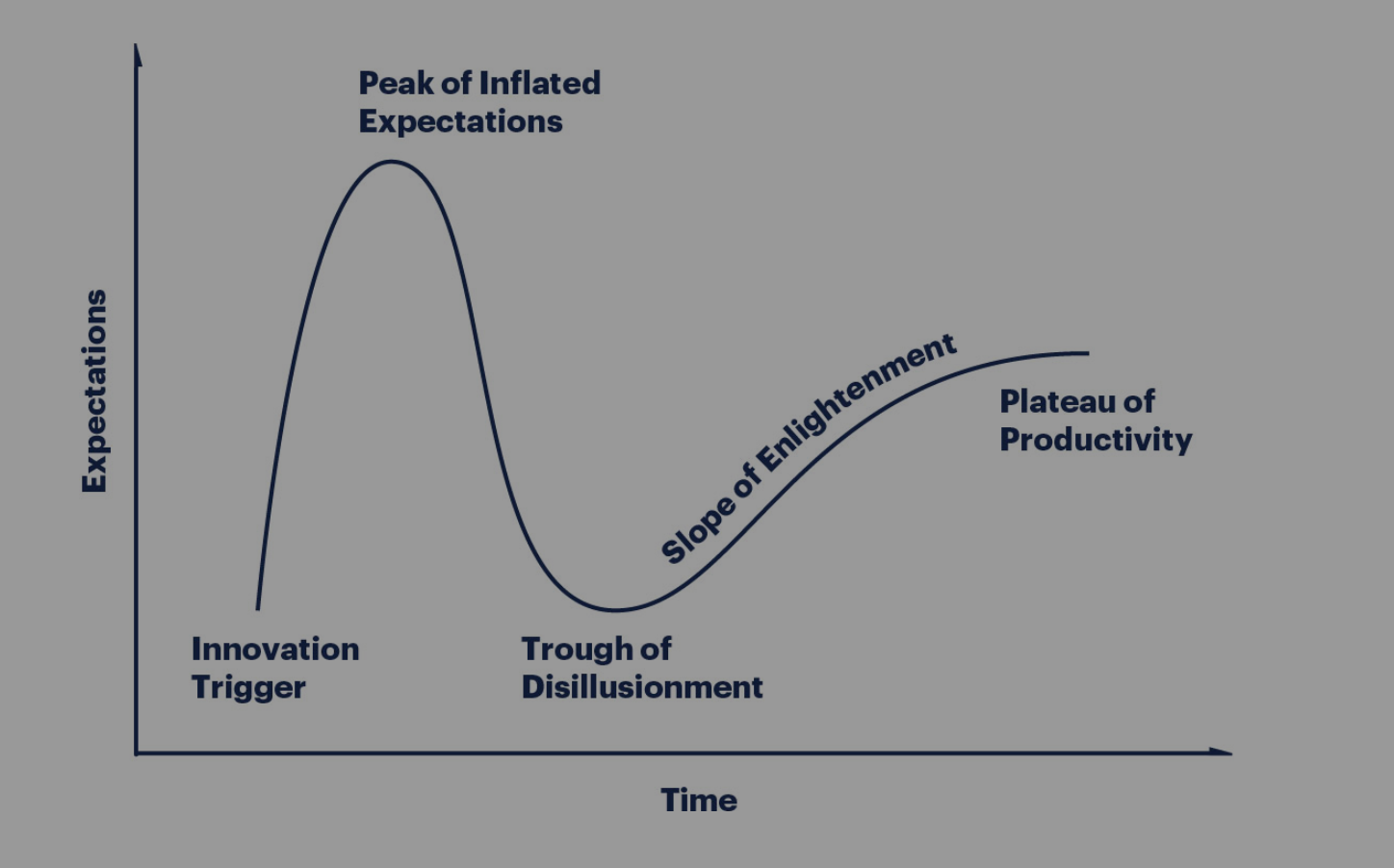 The Gartner Hype Cycle