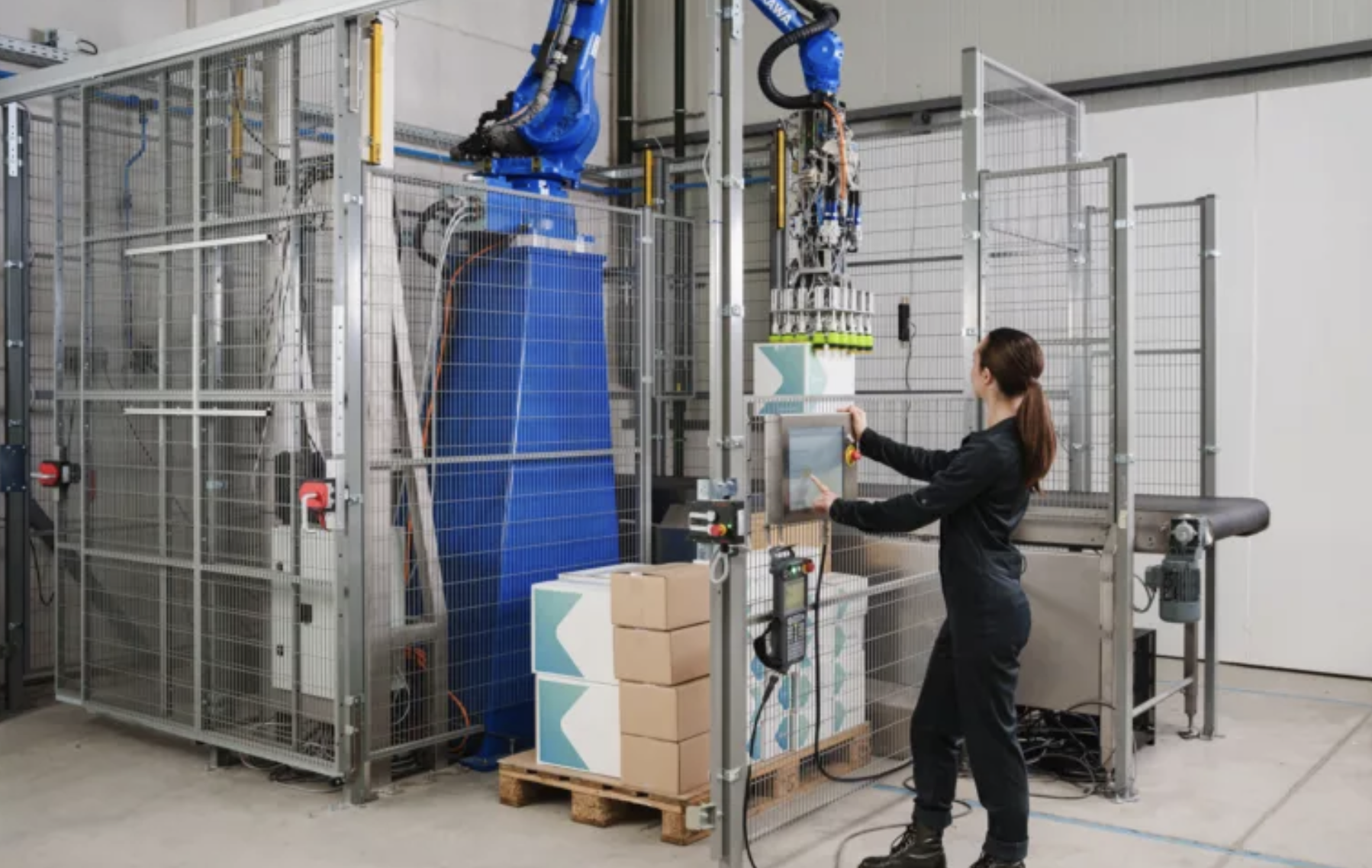 Smart Robotics' Mixed Case Palletizer (Image: Smart Robotics)