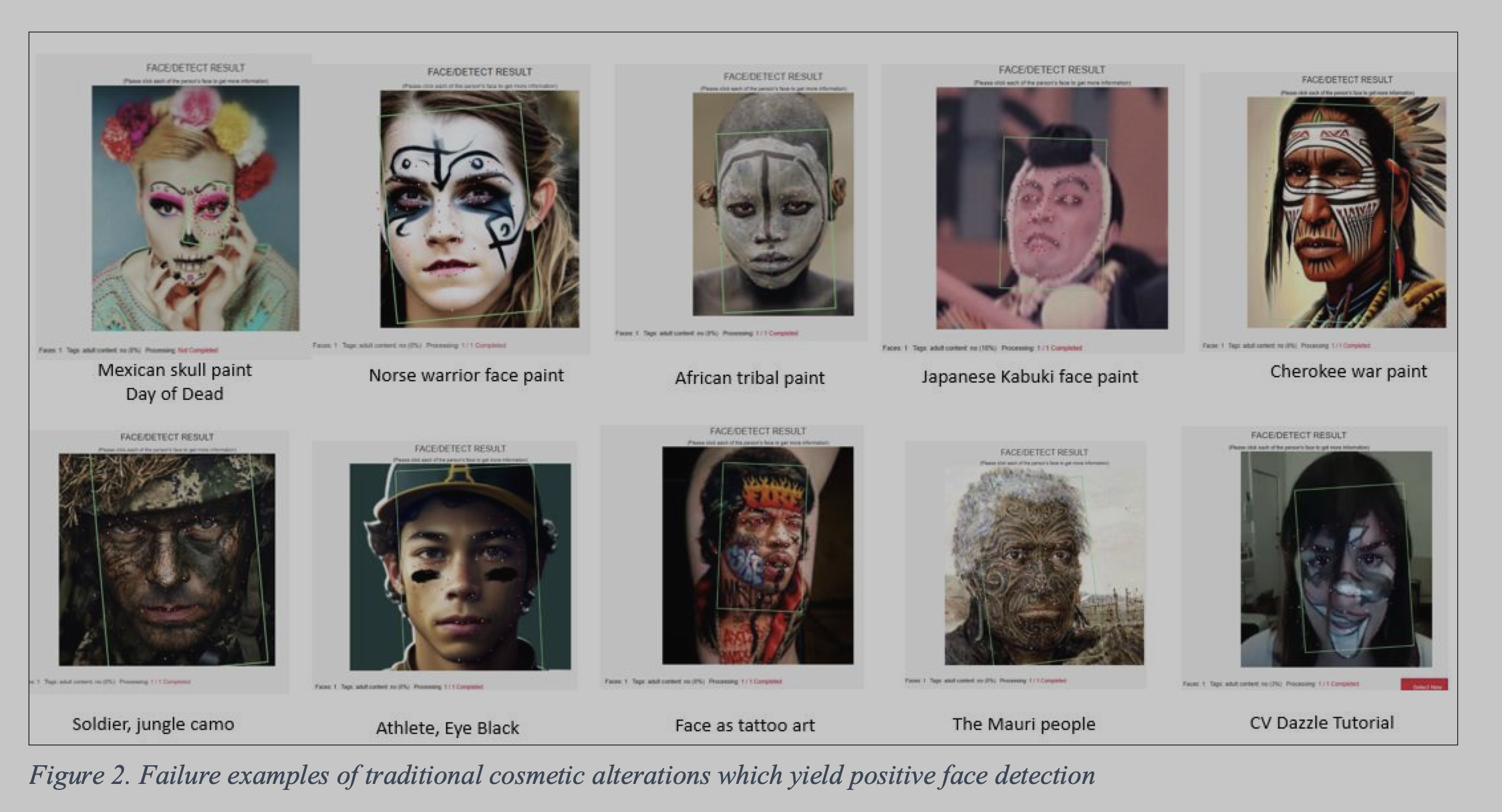 Examples of unsuccessful attempts to evade facial recognition detection