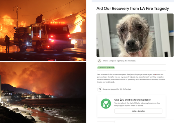 Los Angeles wildfire phishing scammers use "cancer-stricken dogs" to defraud good Samaritans