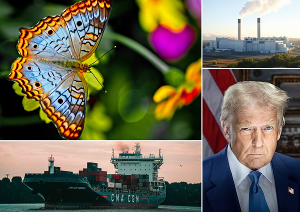 Battling the butterfly effect: Trump, digital twins and supply chain security