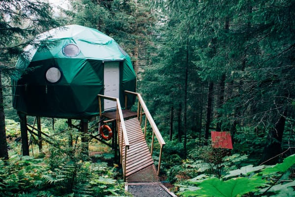 A dream Airbnb venue hidden deep in the woods (Photo byKyle Glenn on Unsplash)